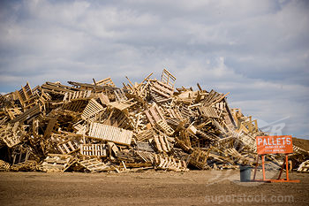 D&#233;chets de bois : Notre grande histoire et les perspectives futures