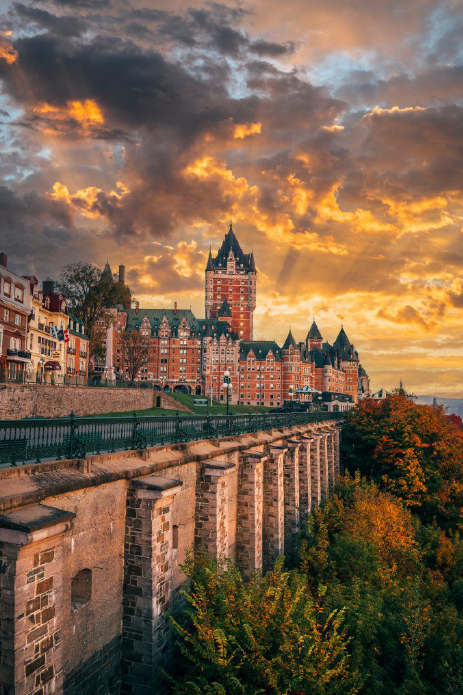 screenshot 2026 02 11 072743